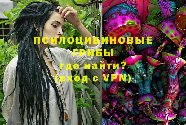 2c-b Вяземский