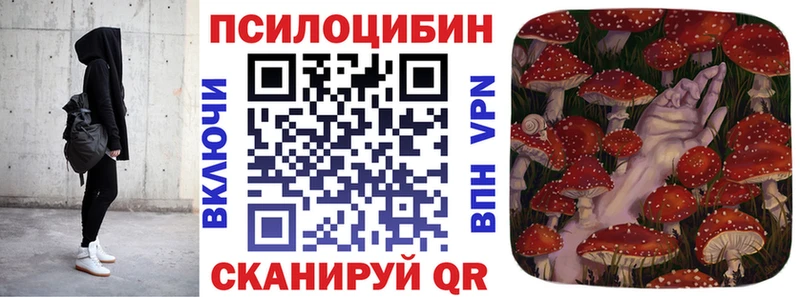 как найти наркотики сайты даркнета клад Галлюциногенные грибы Psilocybine cubensis Няндома